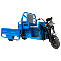 Tricycles électriques à trois roues de haute qualité, meilleur rapport qualité-prix, pour adultes, avec caisse ouverte, pouvant accueillir deux personnes, 800W, robustes, avec éclairage LED, capacité de charge de 200-300 kg