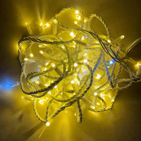 Guirlande lumineuse LED IP67 avec câble en caoutchouc blanc, AC 110V, 10M, 100 LED, blanc chaud 2700K, pour décoration commerciale d'arbres et de contours de bâtiments