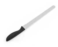 Wanlihao Couteau à pain grillé en acier inoxydable de 10/12 pouces de long avec manche en plastique