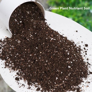 Engrais pour plantes en pot <span class=keywords><strong>de</strong></span> jardin, <span class=keywords><strong>terreau</strong></span> nutritif au meilleur prix pour la culture universelle, <span class=keywords><strong>terreau</strong></span> organique respirant pour les légumes - Product Image 2