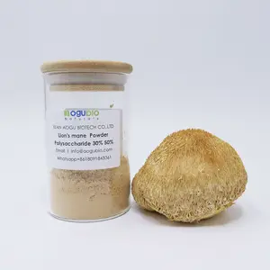 Bubuk ekstrak Hericium Erinaceus organik ekstrak Jamur surai Lion
