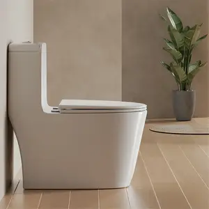 OYN, artículos sanitarios de cerámica, inodoro de una pieza, inodoro de estilo occidental, de personalización para Hotel cuenco, Hogar, baño, Wc, inodoro de lavado