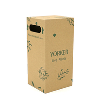 Boîtes d'emballage pour plantes, plantes vivantes en pot, emballage en carton ondulé, boîte en papier pour plantes, pot en origami