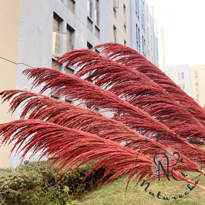 Plumas de Pampas Preservadas al por Mayor, Grandes, Esponjosas, Tacto Natural, Decoración Boho, Arco de Boda, Lujo, Navidad, Naturales y Secas - Product Image 3