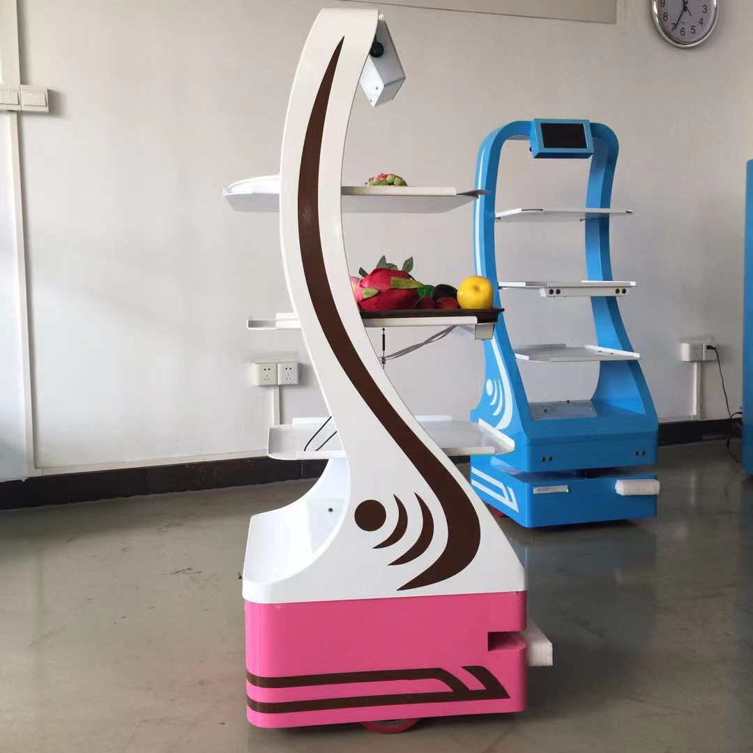 Warehouse Material handling RGV equipments logistical robot/autonomous remote control delivery robot/ugv robot