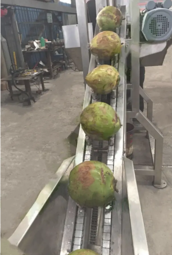 Промышленная электрическая автоматическая молодая машина для резки кокоса