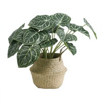 Tanaman Hias Anthurium Kristal VerdantCharm 46cm dalam Pot, Daun Seperti Asli dengan Urat Kristal, Mudah Dirawat, Dekorasi Ruang Tamu