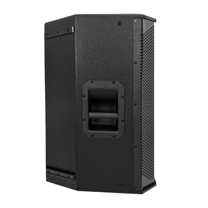 <span class=keywords><strong>Leon</strong></span> Audio EV-15DSP Altoparlante Attivo Full Range da 15 Pollici 500W RMS con DSP per Palcoscenici all'Aperto - Product Image 2