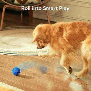 Cheerble Wicked <b>Ball</b> Air Smart Interactive <b>Dog</b> Toy Medium Large E-TPU Material Waterproof Automatic Moving Bouncing Rotating - Product Image 3