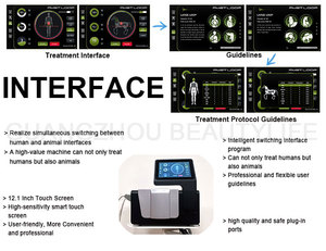 Xách tay từ pemf điều trị thiết bị pmst Vòng Pro Max pemf ngựa phục hồi chức năng thiết bị vật lý trị liệu - Product Image 2
