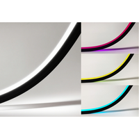 RGBW Nouveau Noir Silicone LED Néon 20*18mm 24V IP68 Spotless Wifi Télécommande pour Discothèque Salle de Jeu Logement RGBW Corde Lumière