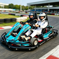 Go Kart Comercial de 2 Plazas, 200CC, Gasolina, para Adultos y Adolescentes, Alquiler, Carreras, Drift, 60KM/H