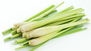 スチーム蒸留25リットルドラムバルク価格オーガニック100% ピュア天然レモングラスエッセンシャルオイルスキンケア用 - Product Image 5