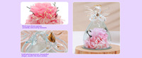 Fleurs Conservées Sous Cloche en Verre, Rose Rouge avec Halo Doré, Cadeau Romantique, Décoration d'Intérieur, Réutilisable, Marque Privée
