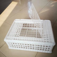 Cage de transfert en plastique pour petits oiseaux volailles vivantes caisse de transport pour poulet