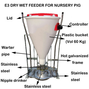Mangeoire professionnelle en <span class=keywords><strong>plastique</strong></span> pour porcs, pour alimentation humide et sèche, pour ferme porcine moderne, à cadre galvanisé automatique - Product Image 6
