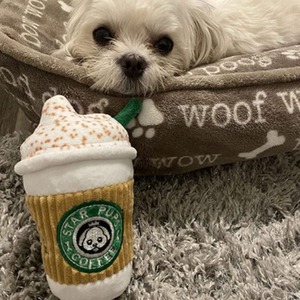 Jouet à mâcher interactif pour chien en peluche, design tasse à café, écologique, avec son couineur et saveur originale, vente en gros - Product Image 4