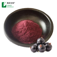 Poudre d'extrait de fruit d'açaï sauvage soluble dans l'eau, qualité alimentaire et médicale, emballée sous vide en fût/conteneur plastique, HALAL/Kosher/ISO