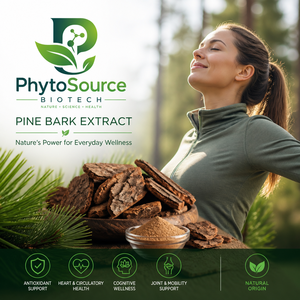 Extrait de Corteil de Pin de Qualité Alimentaire en Vrac - Type Standardisé OPC 95% Ingrédient de Complément Herbal en Bouteille - Product Image 2