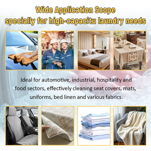 Laveuse industrielle à charge lourde (50-100 kg) avec nettoyage à l'eau chaude, machine à laver et à sécher à double usage - Product Image 6