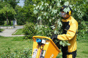 Sistema di Triturazione <span class=keywords><strong>Elettrico</strong></span> DR-GS-65SE 230mm Mobile per Legno Fine Trituratore di Foglie - Product Image 4