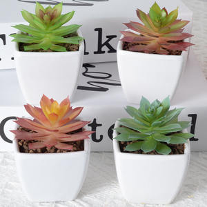Plantas de bonsái suculentas artificiales, arbustos verdes falsos de plástico, Mini <span class=keywords><strong>Echeveria</strong></span> maceta, decoración de escritorio, macetas suculentas Nórdicas - Product Image 4
