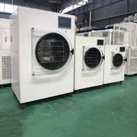 Ménage fruits récolte à domicile droite lyophilisateur machine pour fruits