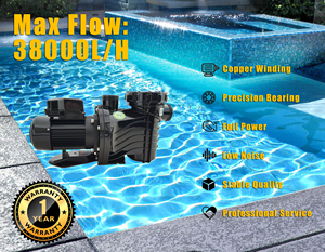 Nueva llegada: Bomba de agua para piscina de 1.5HP - Product Image 5