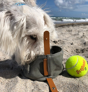 Bol d'alimentation étanche pour chien en toile cirée bols de voyages pour chiens bol d'eau pour aliments pour animaux de compagnie personnalisé - Product Image 5