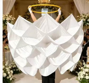 <strong>Women</strong> Dance Waterproof LED <strong>Pineapple</strong> <strong>Costume</strong> Skirt Latin Dance Performance Skirt Night Club Stage Performance <strong>Costume</strong> - Product Image 4