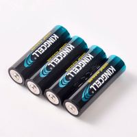 Baterai Alkaline AA Bebas Merkuri 1.5V LR6 4 Buah Ramah Lingkungan Sekali Pakai