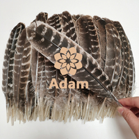 Plumes de queue de dinde sauvage rayées brun naturel pour la confection de coiffes, la pêche à la mouche, les costumes de carnaval, les loisirs créatifs et la décoration.
