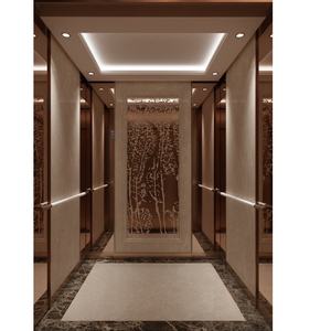 Peralatan Keamanan kabin Villa Lift penumpang rumah kecil Lift komersial pasmeng Lift rumah penumpang Lift harga di Cina - Product Image 5