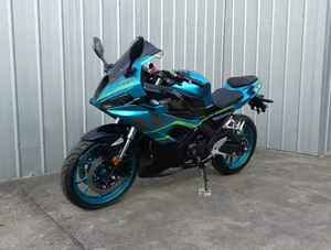 Nueva Motocicleta Deportiva de un Solo Cilindro y 200-400 cc, sin Escobillas, para Exteriores, ALOPEX II - Product Image 1