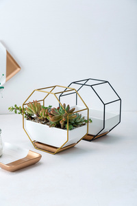 Macetero de Pared Moderno con Diseño <span class=keywords><strong>Octagonal</strong></span> de Alambre Metálico, Estantes de Pared con <span class=keywords><strong>Maceta</strong></span> de Cerámica para Plantas de Aire - Product Image 4