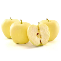 Verse Golden Delicious Appels Premium Geel Fruit Zoete Knapperige Appels Voor Groothandelsimporteurs