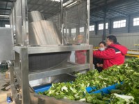 Volledige Automatische Groente Fruit Sorteren Snijden Wassen Drogen Verwerking Lijn Fruit Groente Verwerking Machines