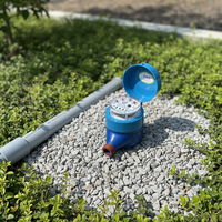 Medidor de Agua Inteligente Digital de Latón/Hierro Fundido de Bajo Consumo, Protección IP68, Control Remoto por Cable, Fácil Instalación, Doméstico