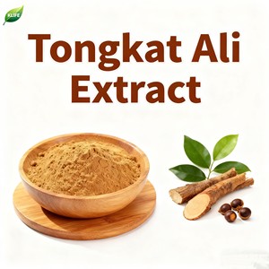 100% tự nhiên 1% 2% eurycomanone 100:1 200:1 Eurycoma longifolia chiết xuất bột Tongkat Ali chiết xuất từ rễ Tongkat Ali chiết xuất - Product Image 2