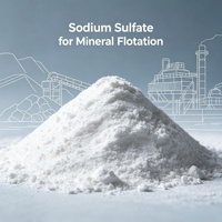 Sulfate de sodium à prix usine, produit chimique très demandé pour la métallurgie et l'exploitation minière