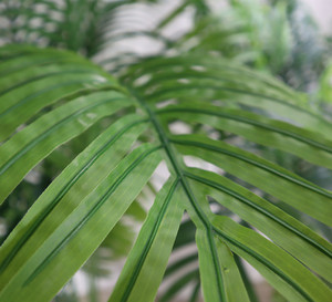 A-1289 ev plastik saksı sahte Plam ağacı PVC kumaş tropikal yapay bitki yaprak Bonsai yapay palmiye ağaçları kapalı dekor için - Product Image 2