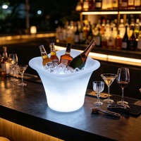Seau à glace portable en plastique avec éclairage LED, bac à boissons lumineux, style ferme, pour la rentrée scolaire, capacité 1-2L