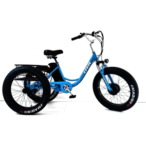 Véhicule de mobilité, vélo, tricycle, scooter à trois roues, 3 E Trike, tricycle à moteur, scooter à trois roues pour adulte - Product Image 1