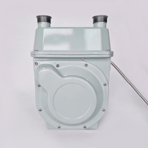 Compteur de gaz domestique intelligent G4 GPRS/LoRaWAN/4G/WIFI, coque en aluminium à diaphragme, débit de 0,016 à 6 m³/h, communication filaire/sans fil - Product Image 4