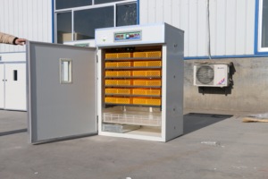 Hoàn toàn tự động 200 1500 gà lồng ấp trứng Máy Ấp Trứng chim cút lồng ấp trứng giá - Product Image 6