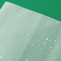 Sac d'emballage pour vêtements réutilisable, transparent, imperméable, pliable, de haute qualité, avec logo personnalisé, résistant à la chaleur, en plastique CPE, fermeture éclair sur le dessus
