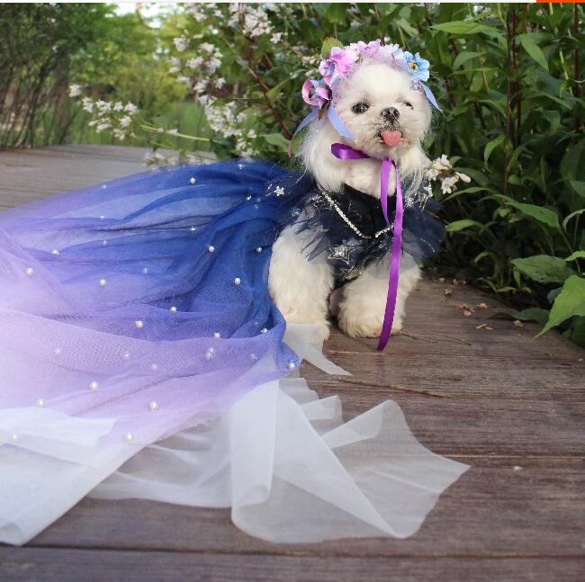New Bright Star Pet Dog Long Style Wedding Dress - Elegant & Sustainable New Bright Star Pet Dog Long Style Wedding Dress - Elegant & Sustainable