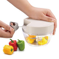 Draagbare Keuken Handheld Keukenmachine Voor Fruitgroente Knoflook Vleesmolen Stamper Chopper-Manueel Gereedschap