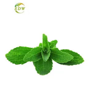 Estratto biologico di Stevia 80%-98% steviosidi 98% Rebaudioside un estratto di Stevia senza amaro