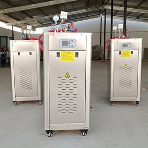 Kleine Automatische Elektrische Stoomgenerator Te Koop